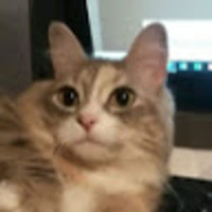 Meet your Posher, Just